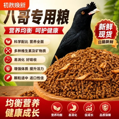 八哥鹩哥黑八海八专用饲料鸟食
