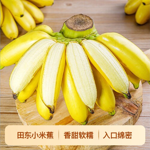 正宗广西小米蕉香蕉新鲜水果当季鲜苹果蕉自然熟粉蕉助农香甜