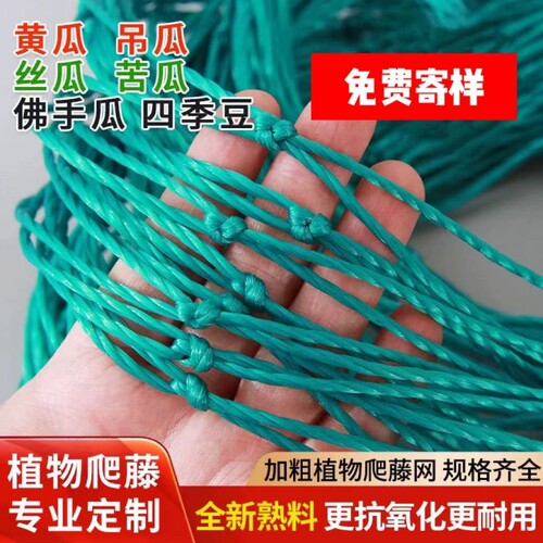 植物爬藤网攀援网葡萄搭架网瓜果丝瓜苦瓜月季藤蔓花卉攀爬种植网