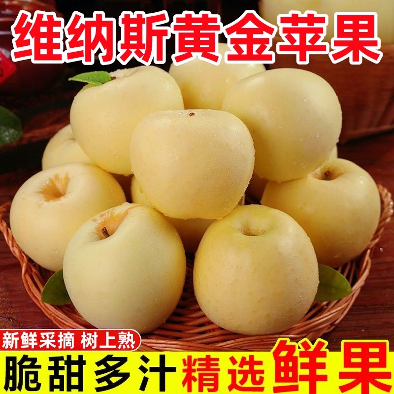 正宗维纳斯黄金苹果新鲜水果礼盒山东烟台苹果秋冬当季应季包邮,水产肉类/新鲜蔬果/熟食,苹果,淘宝优惠券,粉丝福利购,淘宝优惠卷