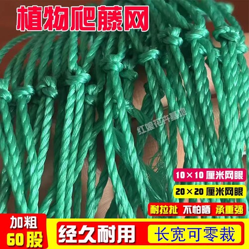 丝瓜爬藤网植物攀爬网瓜果苦瓜吊瓜葡萄瓜蒌豆角百香果菜园绳子