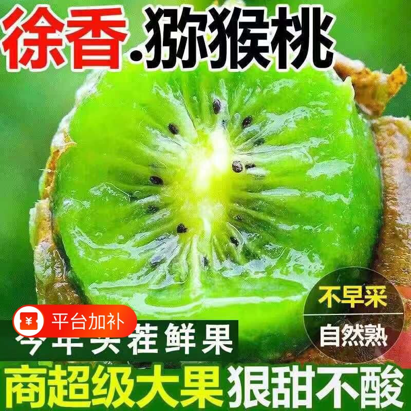 陕西正宗周至徐香猕猴桃奇异果新鲜当季孕妇水果大果整箱眉县中秋