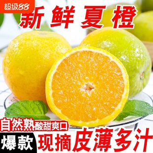 纤果莱.新鲜夏橙高山夏橙净重4.5斤