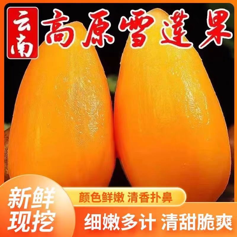 云南雪莲果新鲜水果当季鲜挖脆甜红心黄心雪连果新鲜水果