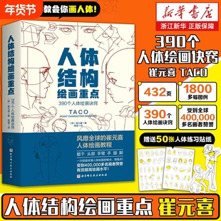 人体结构绘画重点崔元喜TACO解剖教程技巧北京科学技术艺用动物人物动态画画入门塑造