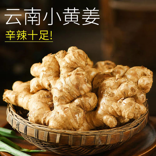 云南小黄姜鲜姜生姜新鲜现挖老姜自种姜嫩蔬菜整箱批发农家辛辣