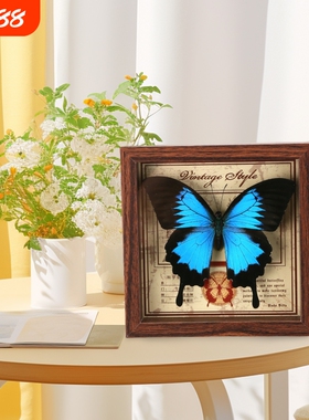 天堂翠凤蝶标本相框真蝴蝶DIY摆台装饰生日礼物礼品桌面绿带客厅