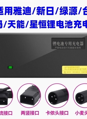 适用于爱马电动车电瓶车充电器54.6v48v12ah54.6v2A3a5锂电池星恒