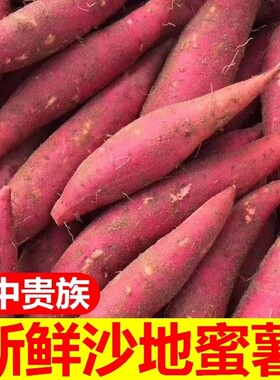 蜜薯种子红薯种地瓜番薯烟西瓜红红心地瓜农家新鲜沙地板栗