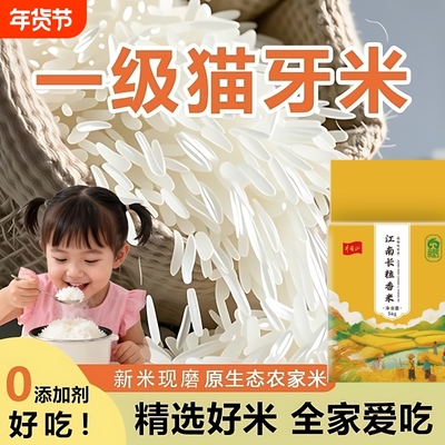 长粒猫牙大米软糯香甜米新品上市南方晚稻大米现磨家人小孩爱吃