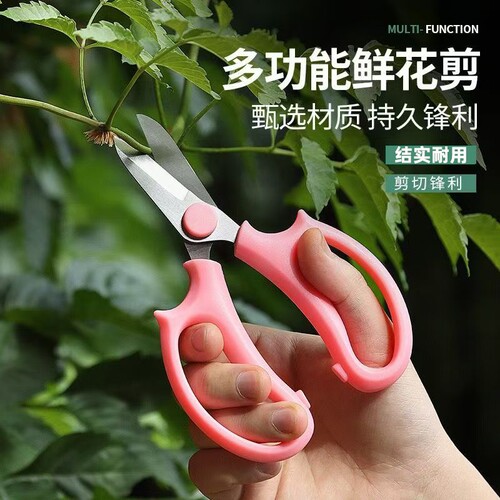 花艺师专用插花剪刀修枝剪家用花艺剪鲜花剪花店专用修玫瑰花剪子