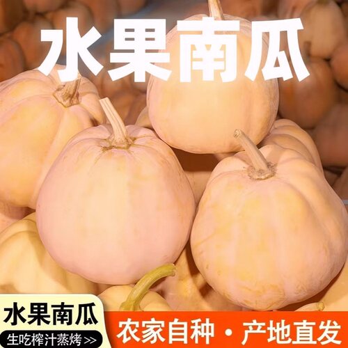 可生吃水果南瓜榨汁南瓜辅食材料孕妈宝宝软糯香甜老南瓜整箱包邮