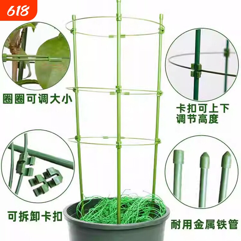花架爬藤架子葡萄架支架杆蔬菜植物葡萄黄瓜西红柿种植架固定客厅