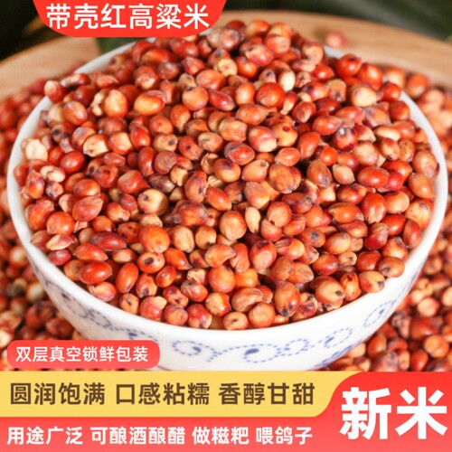 东红高粱酿酒酿醋梗五谷杂粮