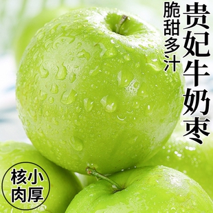 福建牛奶枣大青枣3斤新鲜贵妃鲜枣漳州水果脆枣子非苹果冬东枣