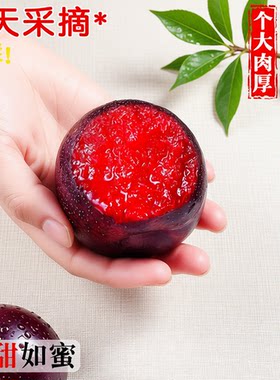 黑布林红肉大李子红心脆李新鲜水果应当季现摘恐龙蛋整箱包邮鲜果
