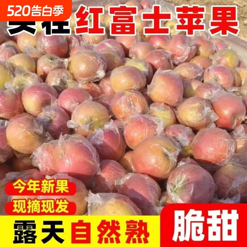 当季正宗现摘红富士冰糖心新鲜水果脆甜山西运城冰糖心丑苹果