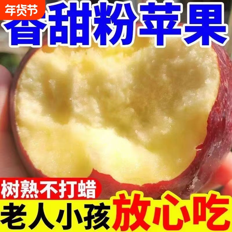 粉面秦冠苹果苹果山西红老人婴儿孕妇刮果泥吃新鲜9包邮年货节