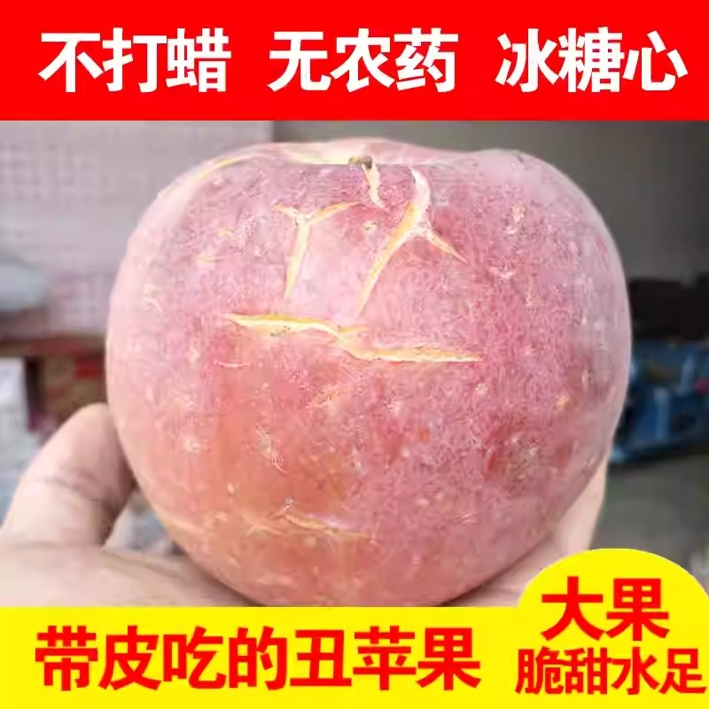 【臻选】山西红富士苹果新鲜水果应季现摘脆甜丑冰糖心批发一整箱