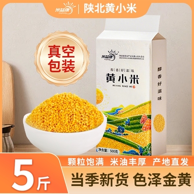 粘糯米黄小米米脂小米新米陕西特产小黄米杂粮米食用益康新货米油