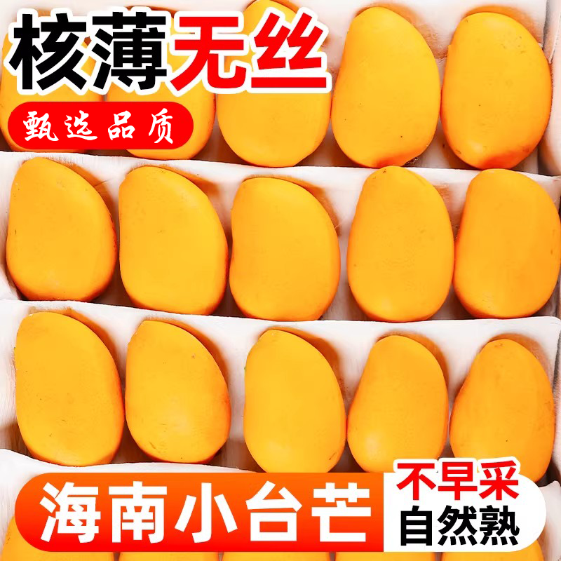现摘海南小台芒果9斤新鲜水果整箱当季热带小台农特产大果包邮10,水产肉类/新鲜蔬果/熟食,芒果,淘宝优惠券,粉丝福利购,淘宝优惠卷