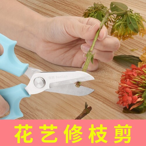 花艺园艺剪刀修剪花卉修枝剪子家用花剪剪花修花插花专用工具树枝