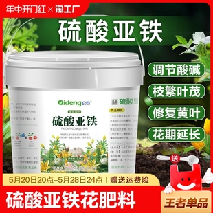 硫酸亚铁花肥料喜酸栀子花茶花杜鹃花桂花水溶肥家用肥营养土壤