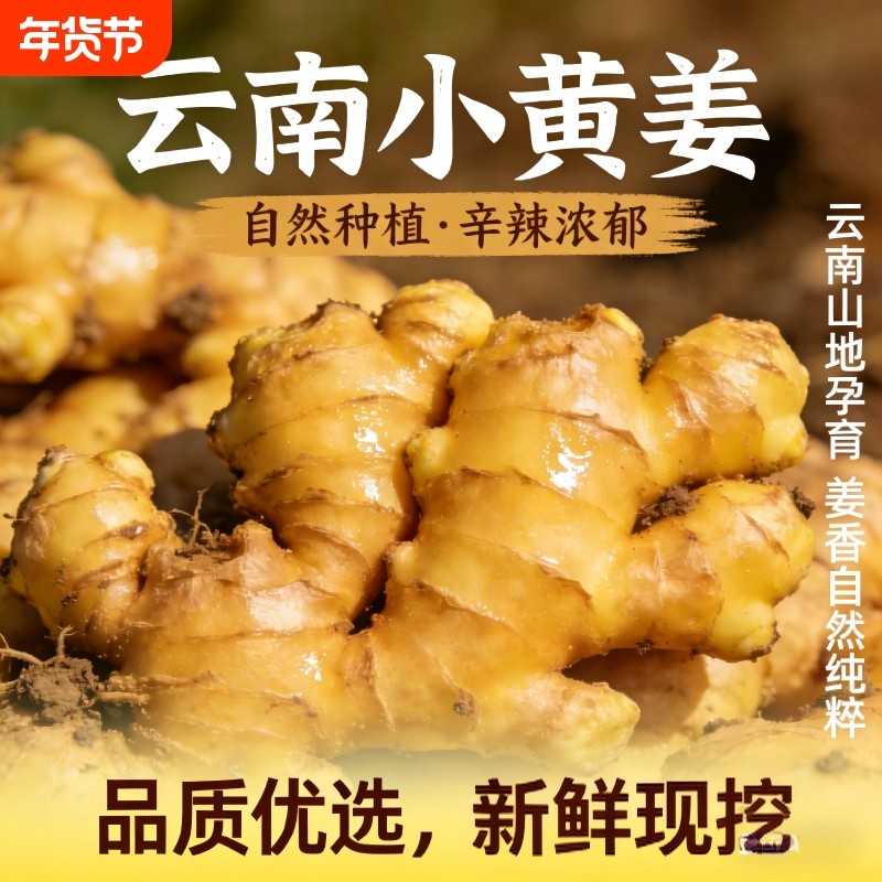 正宗云南小黄姜新鲜农家生姜高山沙姜老姜南姜蔬菜现挖批发包邮,水产肉类/新鲜蔬果/熟食,生姜/南姜,淘宝优惠券,粉丝福利购,淘宝优惠卷