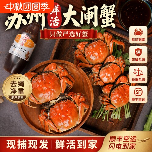 苏州阳澄精品大闸蟹鲜活螃蟹公4两可全母3两10只中秋高端礼盒装