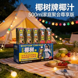 椰树牌椰汁500ml大盒装聚会畅饮鲜榨椰汁植物蛋白饮品
