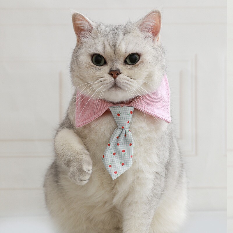 宠物猫咪领结棕色豹纹宠物领带猫咪狗狗小型犬比熊节日装扮项圈