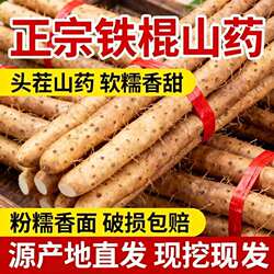 正宗新鲜铁棍山药小白嘴山药淮山药铁杆山药多规格可选直发辅食