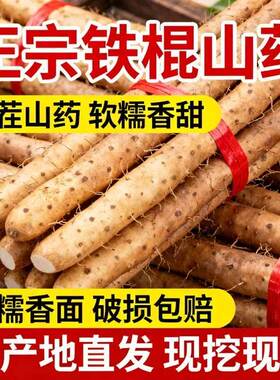 正宗新鲜铁棍山药小白嘴山药淮山药铁杆山药多规格可选直发辅食