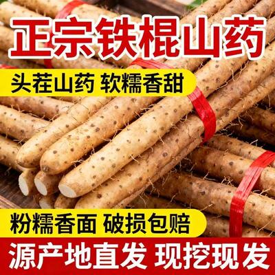 正宗新鲜铁棍山药小白嘴山药淮山药铁杆山药多规格可选直发辅食