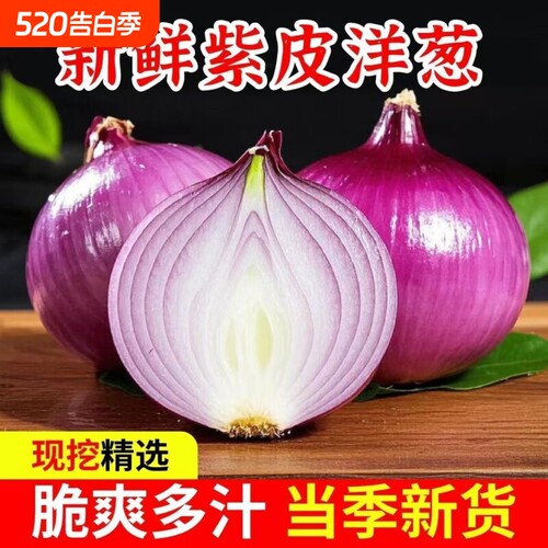 水果洋葱甜味生吃新鲜紫皮洋葱洋葱头小圆葱毛葱红洋葱当季