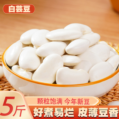 大白芸豆新货大白云豆云南农家白豆雪豆颗粒五谷杂粮豆子杂豆袋装