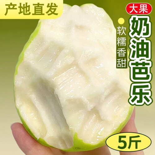 奶油芭乐软糯5斤新鲜水果白心芭乐当季软心番石榴冰淇淋口感包邮