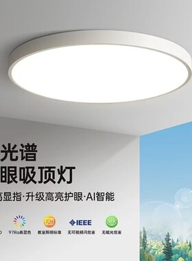 防蚊防尘吸顶灯飞雅仕简约现代
