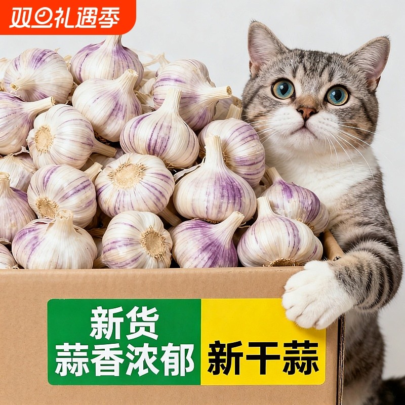 【巨实惠】金乡紫白皮大蒜批发新鲜大蒜特大蒜头干蒜大蒜正宗包邮