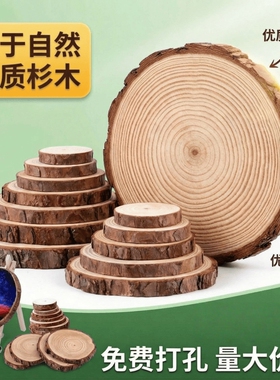 松木片网店摄影道具年轮木拍照道具摆件原木片背景装饰隔热垫茶垫