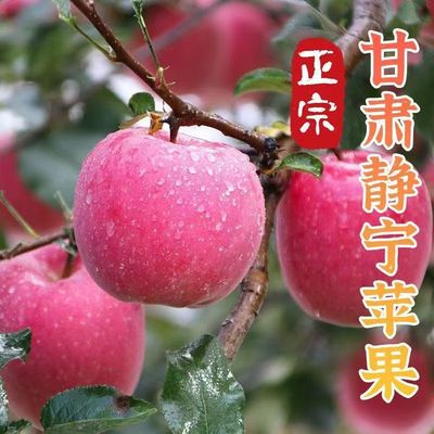 正宗甘肃静宁高山苹果红富士新鲜脆甜冰糖心应季水果多仓发货