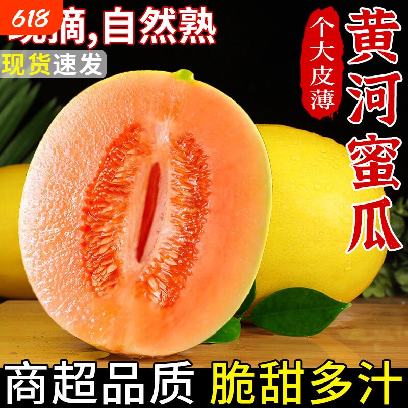 正宗黄河蜜甜瓜新鲜水果应当季整箱包邮黄金脆香瓜哈密瓜甘肃民勤