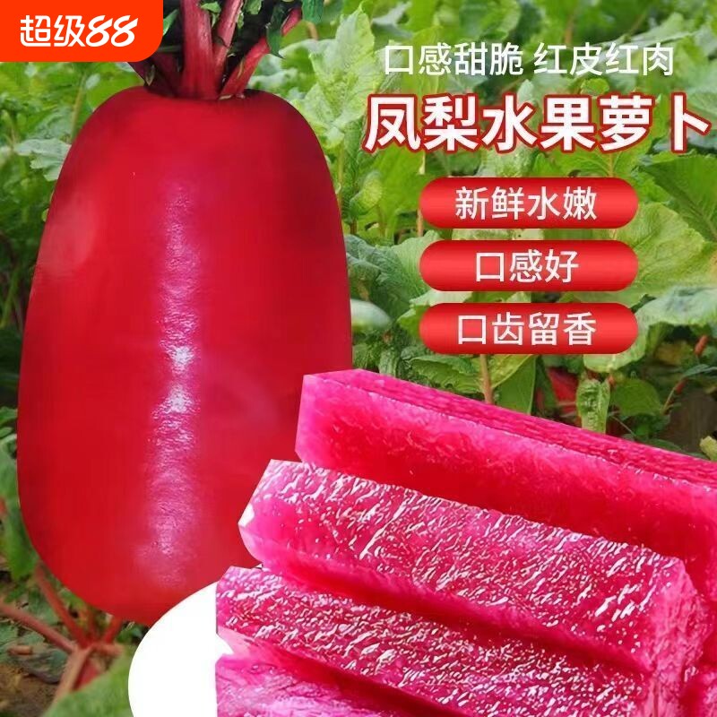 凤梨水果萝卜种子红皮红肉图片