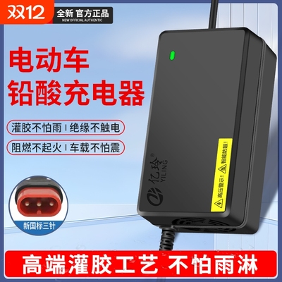亿玲充电器适用于铅酸踏板车