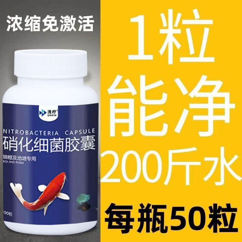硝化细菌胶囊鱼缸净水剂水质养鱼观赏鱼用活菌分解生态硝酸浓缩