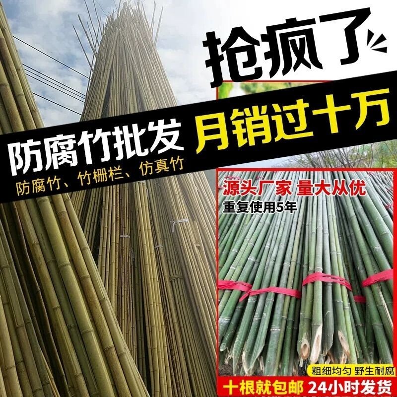 小竹杆爬藤架竹竿菜园搭架豆角竹篱笆彩旗竹竿子花架竹子黄瓜番茄