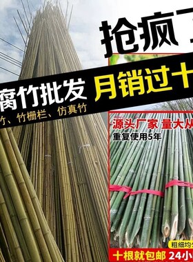 小竹杆爬藤架竹竿菜园搭架豆角竹篱笆彩旗竹竿子花架竹子黄瓜番茄