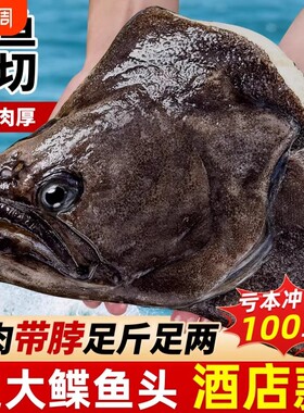 碟鱼头冷冻鲽鱼头鸦片鱼头深海新鲜比目鱼商用批发蝶鱼头海鲜鱼身