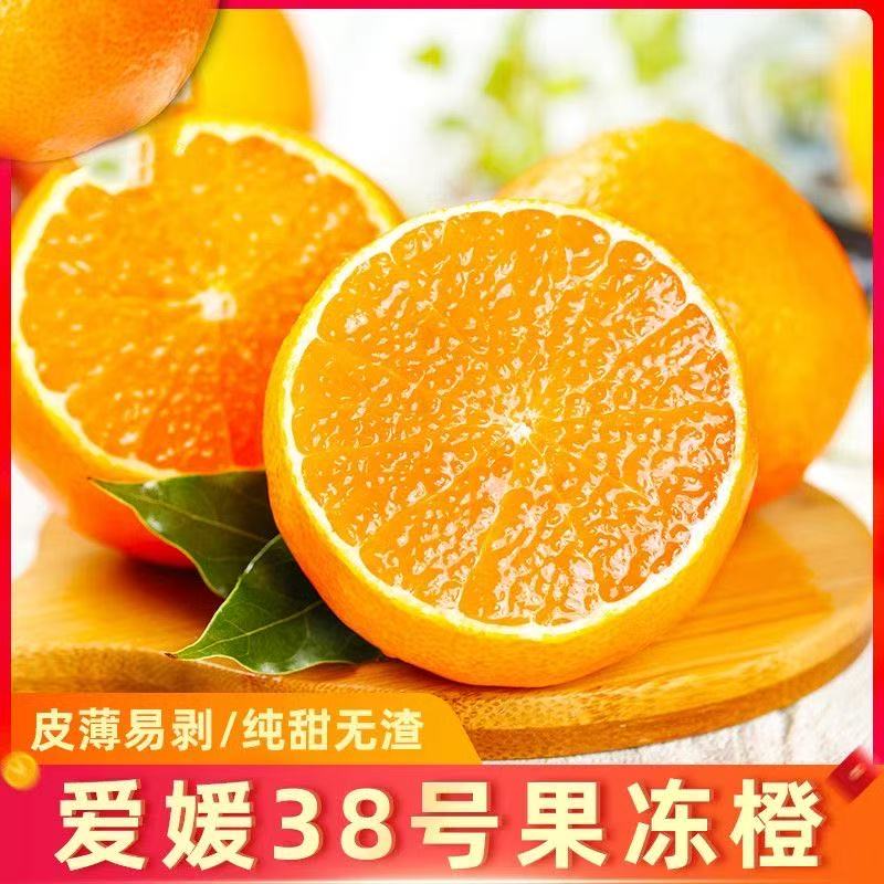 爱媛38号精品果冻橙四川眉山