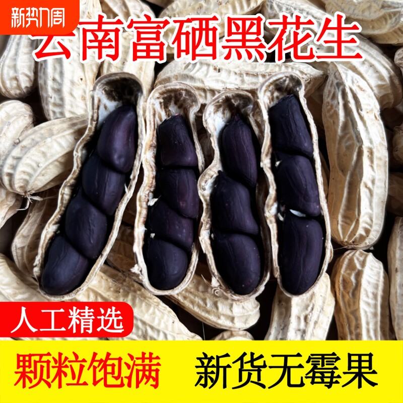 云南富硒黑花生带壳小粒原味甜黑皮种籽普洱特产2025新货花生晒干